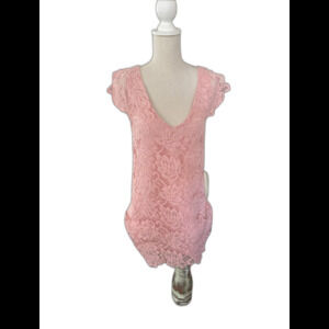 BB Dakota Pink Lace Lined Dress